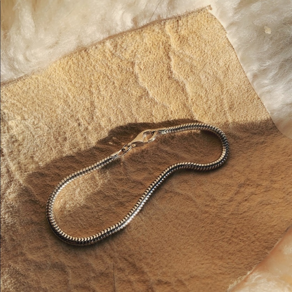 European Style Silver Charm Bracelet (Bare)